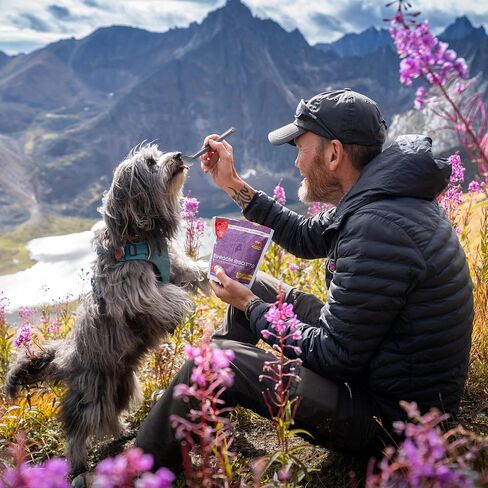 GOOD TO-GO Food Kit Assortments | Camping Food, Backpacking Food | Just Add Water Meals, Backpacking Meals | Dehydrated Meals Taste Better Than Freeze Dried Meals in Kuwait
