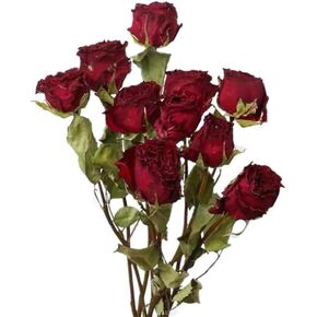 TooGet Natural Dried Flowers Bouquet, 10 Pcs Red Dried Roses Bouquet for Wedding Decoration and DIY Wreath Floral Home Decor