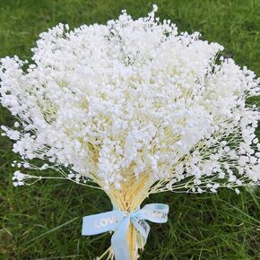 3500+ Dried Baby's Breath Flowers Bouquet - Pure White Dry Flowers Bulk, 17'' Real Natural Gypsophila Branches for Wedding, Vase Filler, DIY Home Party Table Vase Decor, Wreath Floral, Crafts