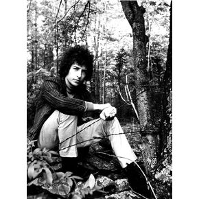 Bob Dylan in a forest Photo Print (8 x 10)