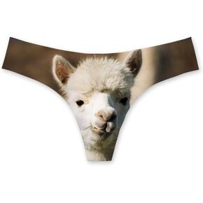 Funny Underwear Women Sexy Breathable High Cut Panties Low Rise Cheeky Hipster S-3XL