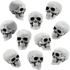 10 قطع جماجم الهالوين رؤوس جمجمة بلاستيكية ذات مظهر واقعي جماجم رأس هيكل عظمي بشري جماجم صغيرة لحفلات الهالوين منزل مسكون دعائم بار ديكور طاولة المنزل، 1.8 × 1.8 × 2.4 بوصة in Kuwait