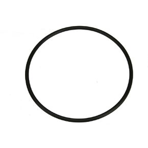 17342-CE800 Fuel Pump Tank Seal