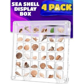 4 Pack of Seashell Display Box Acrylic Magnetic with 6.5ft Antique Rope Transparent Case 36 Grid compartments Remember Precious Moments with Your Kids by Decorating Walls, Windows (4 Pack (36 Grid))