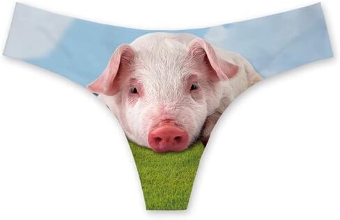 Funny Underwear Women Sexy Breathable High Cut Panties Low Rise Cheeky Hipster S-3XL in Saudi Arabia