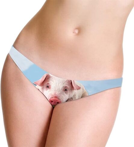 Funny Underwear Women Sexy Breathable High Cut Panties Low Rise Cheeky Hipster S-3XL in Saudi Arabia