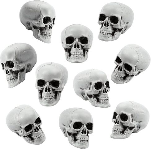 10 قطع جماجم الهالوين رؤوس جمجمة بلاستيكية ذات مظهر واقعي جماجم رأس هيكل عظمي بشري جماجم صغيرة لحفلات الهالوين منزل مسكون دعائم بار ديكور طاولة المنزل، 1.8 × 1.8 × 2.4 بوصة in Kuwait