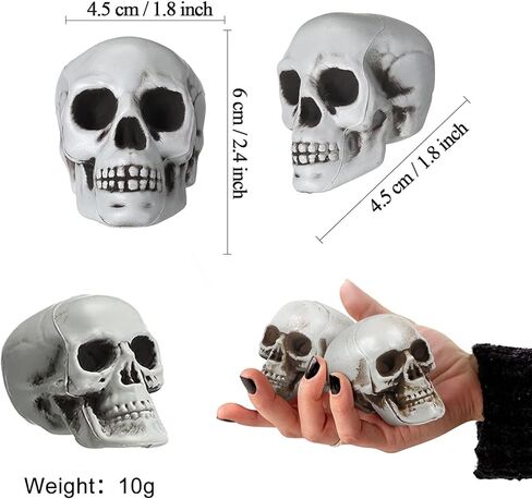 10 قطع جماجم الهالوين رؤوس جمجمة بلاستيكية ذات مظهر واقعي جماجم رأس هيكل عظمي بشري جماجم صغيرة لحفلات الهالوين منزل مسكون دعائم بار ديكور طاولة المنزل، 1.8 × 1.8 × 2.4 بوصة in Kuwait
