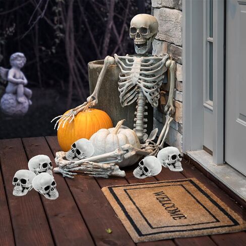 10 قطع جماجم الهالوين رؤوس جمجمة بلاستيكية ذات مظهر واقعي جماجم رأس هيكل عظمي بشري جماجم صغيرة لحفلات الهالوين منزل مسكون دعائم بار ديكور طاولة المنزل، 1.8 × 1.8 × 2.4 بوصة in Kuwait