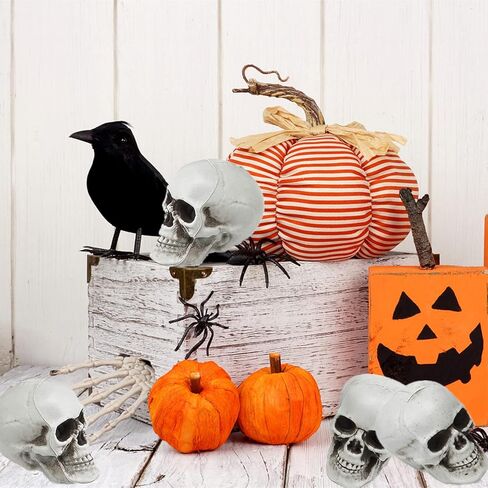 10 قطع جماجم الهالوين رؤوس جمجمة بلاستيكية ذات مظهر واقعي جماجم رأس هيكل عظمي بشري جماجم صغيرة لحفلات الهالوين منزل مسكون دعائم بار ديكور طاولة المنزل، 1.8 × 1.8 × 2.4 بوصة in Kuwait