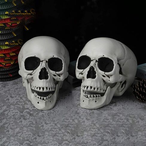 10 قطع جماجم الهالوين رؤوس جمجمة بلاستيكية ذات مظهر واقعي جماجم رأس هيكل عظمي بشري جماجم صغيرة لحفلات الهالوين منزل مسكون دعائم بار ديكور طاولة المنزل، 1.8 × 1.8 × 2.4 بوصة in Kuwait