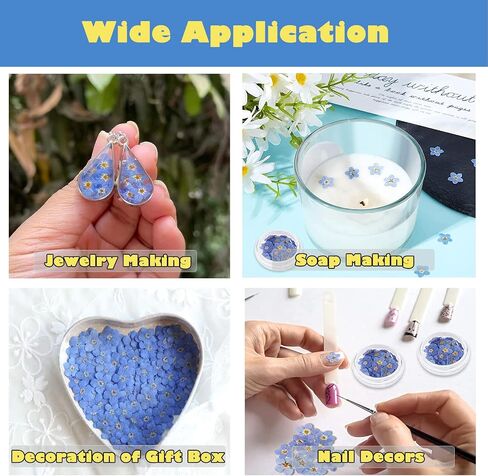 60 Pieces Don't Forget Me Dried Flowers, Dried Flower Real Dried Pressed Flowers for Jewelry Candle Card Making DIY Resin Ornaments Nail Art Flowers Decorations (Don't Forget Me) in Saudi Arabia