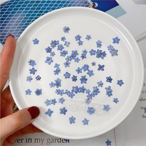 60 Pieces Don't Forget Me Dried Flowers, Dried Flower Real Dried Pressed Flowers for Jewelry Candle Card Making DIY Resin Ornaments Nail Art Flowers Decorations (Don't Forget Me) in Saudi Arabia