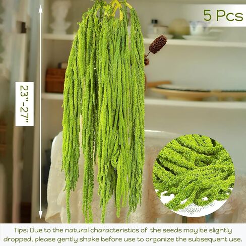 5Pcs Real Dried Amaranthus Hanging Wedding Flowers - 23" Green Preserved Dried Flowers for Wedding Arch Flowers, Garlands, Wisteria Flowers Arrangement, Rustic Vase Decor, Wall Hanging in Saudi Arabia