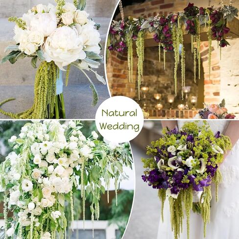 5Pcs Real Dried Amaranthus Hanging Wedding Flowers - 23" Green Preserved Dried Flowers for Wedding Arch Flowers, Garlands, Wisteria Flowers Arrangement, Rustic Vase Decor, Wall Hanging in Saudi Arabia