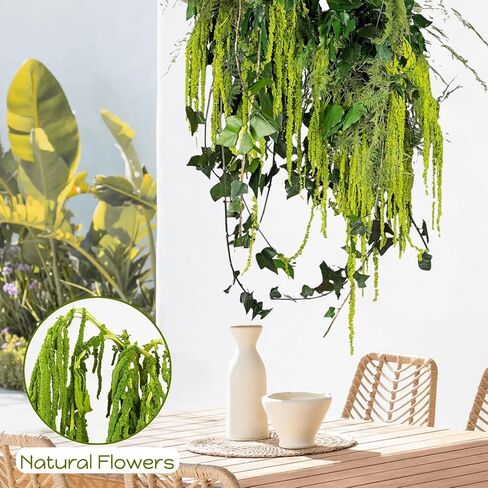 5Pcs Real Dried Amaranthus Hanging Wedding Flowers - 23" Green Preserved Dried Flowers for Wedding Arch Flowers, Garlands, Wisteria Flowers Arrangement, Rustic Vase Decor, Wall Hanging in Saudi Arabia