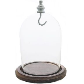 3"x4" Pocket Watch Glass Display Dome Cloche with Real Walnut wood Base & Silver hook