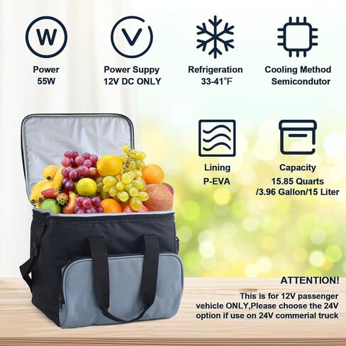 15.8 Quarts Electric Car Cooler Bag, 12V Car Cooler for Travel Plug in, Portable Cooler Refrigerator for Car, RV, Camping (Black1) in Saudi Arabia