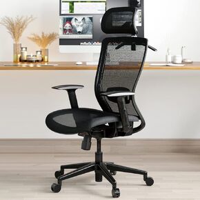 FLEXISPOT Ergonomic Office Chair, High Back Mesh Computer Chair, Comfy Home Office Desk Chairs with Lumbar Support Tilt Function 3D Headrest 2D Armrest, Heavy Duty Executive Office Chair OC3 Mesh Gray