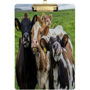 Giraffe Baby Clipboard Yellow Fruit Office School Nursing Acrylic Clip Board for Standard A4 Letter Size 9" x 12.5" with Silver Low Profile Metal Clip