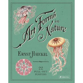 Art Forms in Nature: 22 Pull-Out Posters