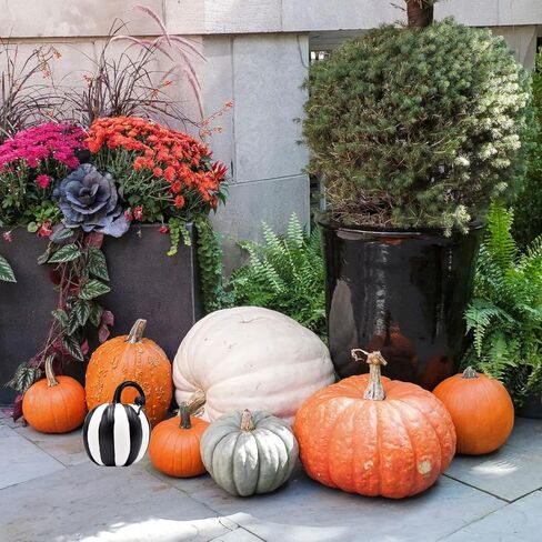 زخارف اليقطين المخططة باللونين الأبيض والأسود من Needzo، إكسسوارات منزلية للهالوين الموسمية، 6 بوصات، مجموعة من 2 (2-6 بوصات) in Kuwait