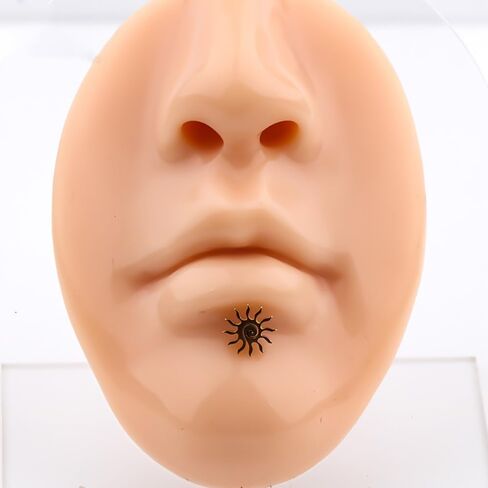 16G Sun Lip Rings Cartilage Earrings for Women Men Surgical Steel Minimalist Labret Monroe Lip Rings Tragus Helix Studs Earrings Body Piercing Jewelry in Kuwait