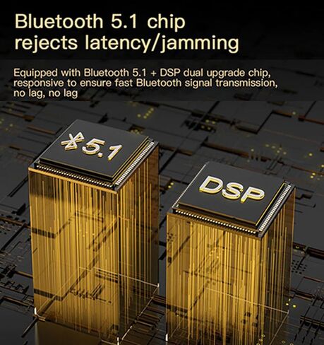 Bluetooth 5.1 Transmitter Receiver for TV 4-in-1 Wireless Bluetooth Adapter with Optical AUX RCA 6.5 Mic Connection, Low Latency NFC Audio Adapter with FM Radio Simultaneously for Home Party KTV in Kuwait