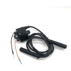 Ignition Coil for Yamaha 75 80 90 100 HP Outboard 1999-2004 4-Stroke 4 Cylinder F75 F80 F90 F100 for 67F-85570-00-00