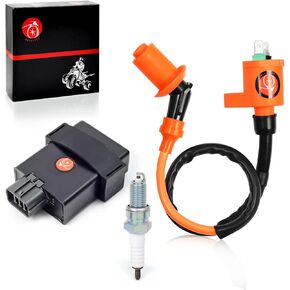 Igniter CDI Box and Ignition Coil For Honda FourTrax 300 TRX 300 TRX300FW 2x4 4x4 1998 1999 2000