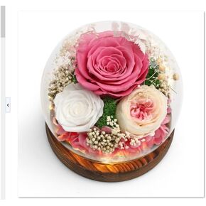 Roses Flowers Lujechii Flowers for Delivery Prime ，Cool Unusual Gifts for Ladies, Moms, Lovers, Friends, Birthday Anniversaries, Eternal Flowers Unique Flower Gifts (Red Roses, Pink Roses)