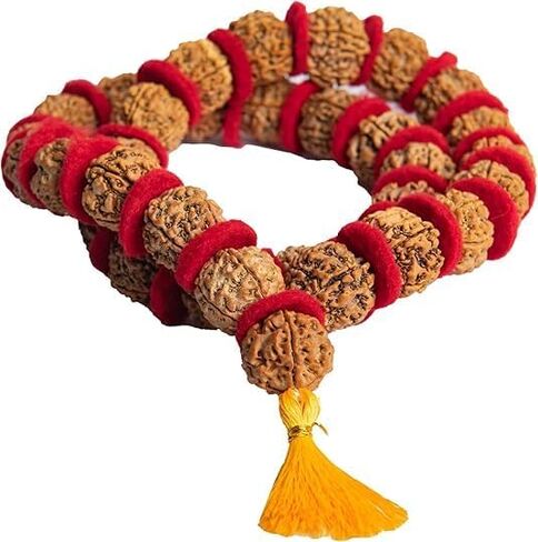 Certified Rudraksha Mala | 5 Face (Panchmukhi) Rudraksha Beads | Authentic Genuine Rosary | Japa Mala | Ornament Necklace | Prayer Beads -108+1 |Meditation Beads (1pc Mala) in Saudi Arabia