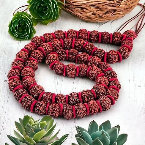 Certified Rudraksha Mala | 5 Face (Panchmukhi) Rudraksha Beads | Authentic Genuine Rosary | Japa Mala | Ornament Necklace | Prayer Beads -108+1 |Meditation Beads (1pc Mala) in Saudi Arabia