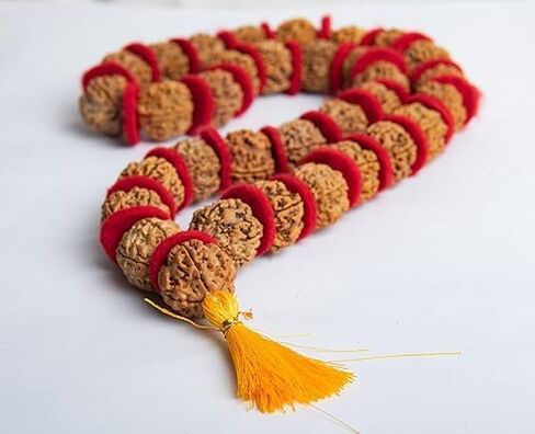 Certified Rudraksha Mala | 5 Face (Panchmukhi) Rudraksha Beads | Authentic Genuine Rosary | Japa Mala | Ornament Necklace | Prayer Beads -108+1 |Meditation Beads (1pc Mala) in Saudi Arabia