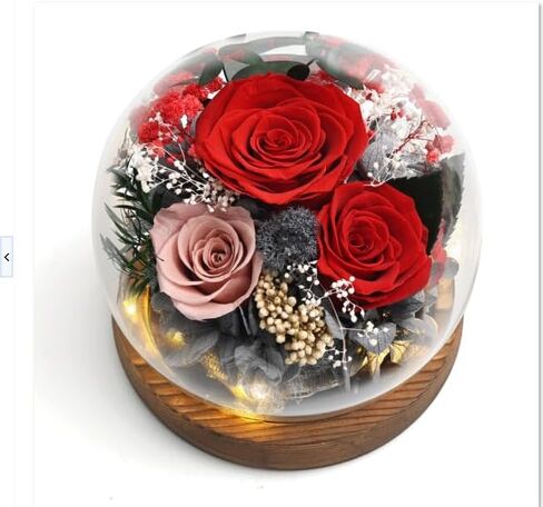 Roses Flowers Lujechii Flowers for Delivery Prime ，Cool Unusual Gifts for Ladies, Moms, Lovers, Friends, Birthday Anniversaries, Eternal Flowers Unique Flower Gifts (Red Roses, Pink Roses) in Saudi Arabia