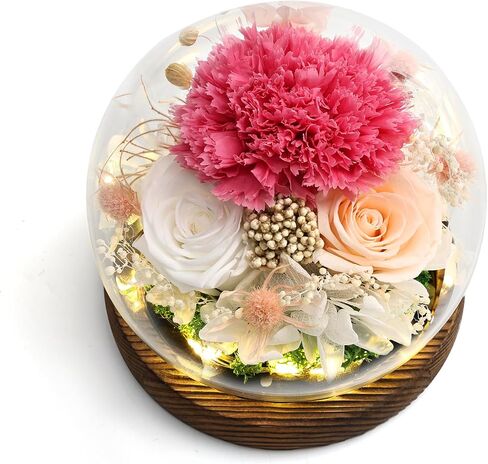 Roses Flowers Lujechii Flowers for Delivery Prime ，Cool Unusual Gifts for Ladies, Moms, Lovers, Friends, Birthday Anniversaries, Eternal Flowers Unique Flower Gifts (Red Roses, Pink Roses) in Saudi Arabia