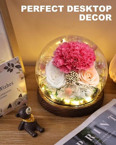 Roses Flowers Lujechii Flowers for Delivery Prime ，Cool Unusual Gifts for Ladies, Moms, Lovers, Friends, Birthday Anniversaries, Eternal Flowers Unique Flower Gifts (Red Roses, Pink Roses) in Saudi Arabia