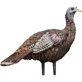 Avian X LCD Lookout Hen Lifelike Collapsible Turkey Gobbler Hunting Decoy w/ Carbon Stake, Carry Bag, & Storage Compression Strap