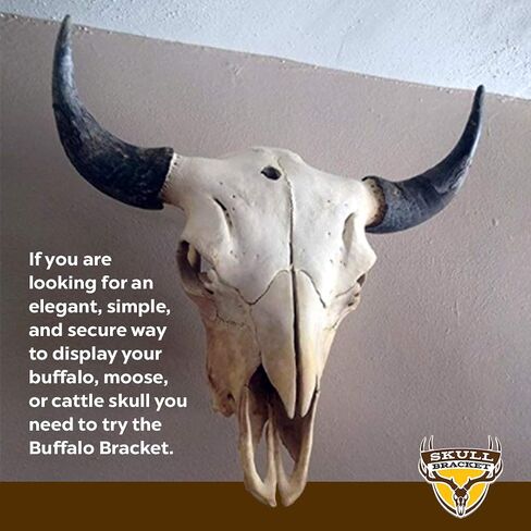 Bambi Bracket for Small & Medium Size Game - 50lbs Capacity European Skull Wall Mount - Ideal for Whitetail and Mule Deer, Antelope, Black Bear and Wolf Mounting - Made in USA in Saudi Arabia