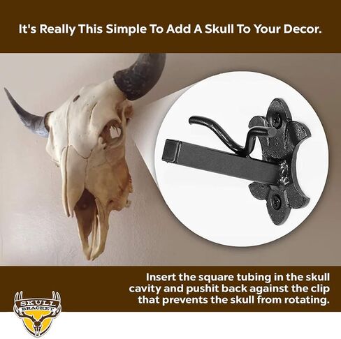 Bambi Bracket for Small & Medium Size Game - 50lbs Capacity European Skull Wall Mount - Ideal for Whitetail and Mule Deer, Antelope, Black Bear and Wolf Mounting - Made in USA in Saudi Arabia