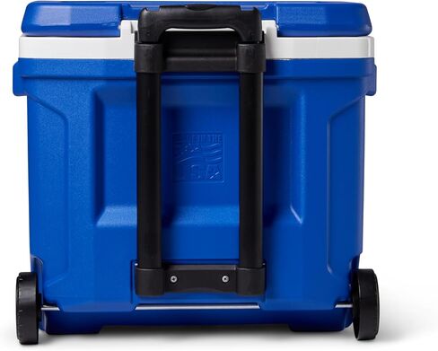 Igloo Profile Hard Coolers in Saudi Arabia