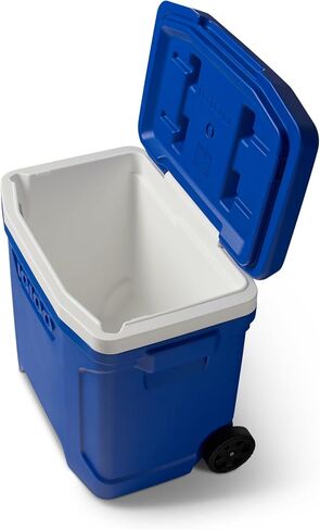 Igloo Profile Hard Coolers in Saudi Arabia