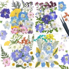Dried Pressed Flowers for Resin Dried Flowers for Crafts Scrapbooking Supplies Jewerlry Making Greeting Cards Wedding Invitations DIY Art Decor Edible Flowers with 1pc Tweezers Oil Painting Style