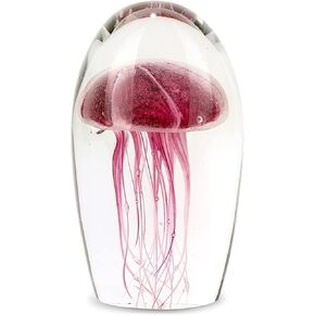 قنديل البحر الكبير - أرجواني in Kuwait