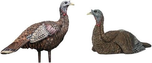 Avian X LCD Lookout Hen Lifelike Collapsible Turkey Gobbler Hunting Decoy w/ Carbon Stake, Carry Bag, & Storage Compression Strap in Saudi Arabia
