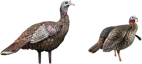 Avian X LCD Lookout Hen Lifelike Collapsible Turkey Gobbler Hunting Decoy w/ Carbon Stake, Carry Bag, & Storage Compression Strap in Saudi Arabia