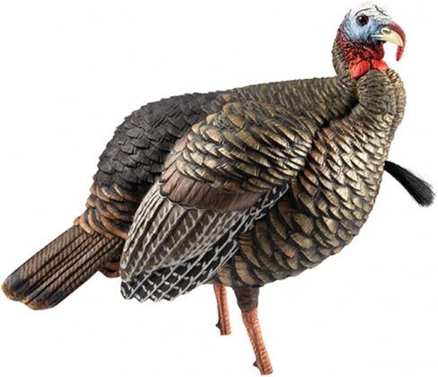 Avian X LCD Lookout Hen Lifelike Collapsible Turkey Gobbler Hunting Decoy w/ Carbon Stake, Carry Bag, & Storage Compression Strap in Saudi Arabia