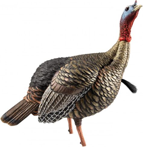 Avian X LCD Lookout Hen Lifelike Collapsible Turkey Gobbler Hunting Decoy w/ Carbon Stake, Carry Bag, & Storage Compression Strap in Saudi Arabia