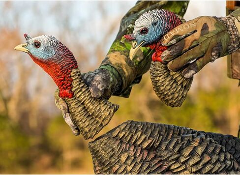 Avian X LCD Lookout Hen Lifelike Collapsible Turkey Gobbler Hunting Decoy w/ Carbon Stake, Carry Bag, & Storage Compression Strap in Saudi Arabia