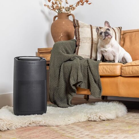 Sans HEPA 13 Air Purifier - Black - 1560ft² Ultra-Quiet Home Air Purifier, Pre-Filter, Activated Carbon, UV-C Light, Protect from Odors, Smoke, Pollutants, Allergens, Dust, Dander, Harmful Chemicals in Saudi Arabia